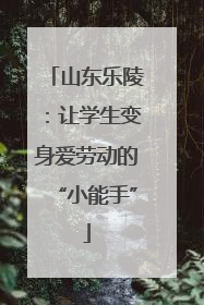 山东乐陵：让学生变身爱劳动的“小能手”