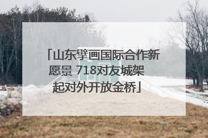 山东擘画国际合作新愿景 718对友城架起对外开放金桥
