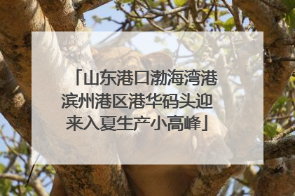 山东港口渤海湾港滨州港区港华码头迎来入夏生产小高峰