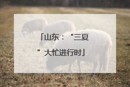 山东：“三夏”大忙进行时