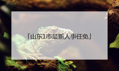 山东1市最新人事任免