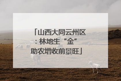 山西大同云州区：林地生“金” 助农增收前景旺