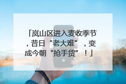 岚山区进入麦收季节，昔日“老大难”，变成今朝“抢手货”！