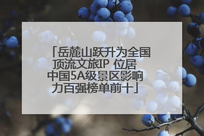 岳麓山跃升为全国顶流文旅IP 位居中国5A级景区影响力百强榜单前十