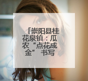 崇阳县桂花泉镇：瓜农“点花成金” 书写“甜蜜事业”增收经