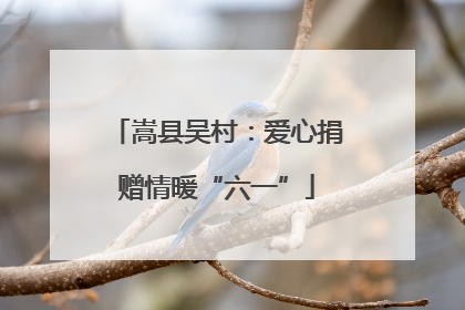 嵩县吴村：爱心捐赠情暖“六一”