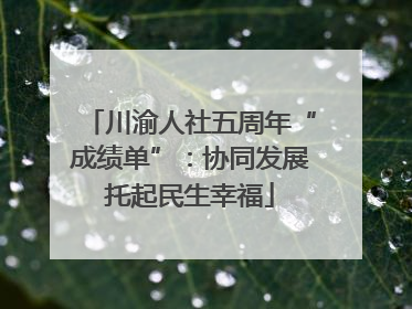 川渝人社五周年“成绩单”：协同发展托起民生幸福