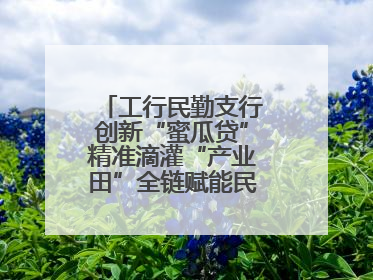 工行民勤支行创新“蜜瓜贷”精准滴灌“产业田”全链赋能民勤乡村振兴