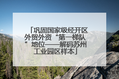 巩固国家级经开区外贸外资“第一梯队”地位——解码苏州工业园区样本