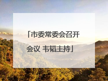 市委常委会召开会议 韦韬主持