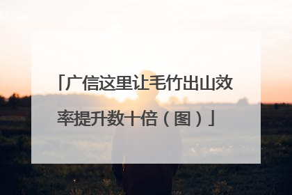 广信这里让毛竹出山效率提升数十倍（图）