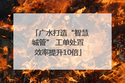 广水打造“智慧城管” 工单处置效率提升10倍