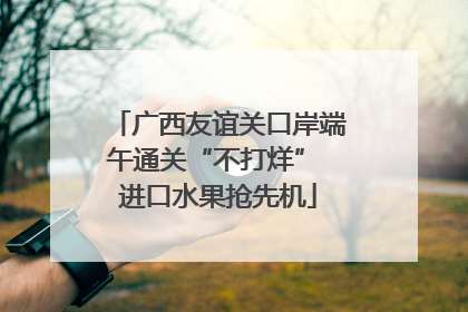 广西友谊关口岸端午通关“不打烊” 进口水果抢先机