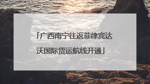 广西南宁往返菲律宾达沃国际货运航线开通