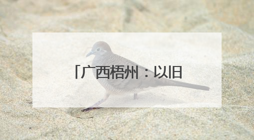 广西梧州：以旧换新汽车销售旺