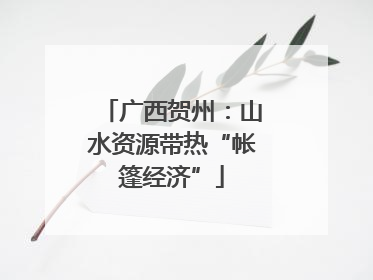 广西贺州：山水资源带热“帐篷经济”
