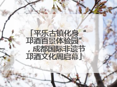 平乐古镇化身“邛酒百景体验园”，成都国际非遗节邛酒文化周启幕