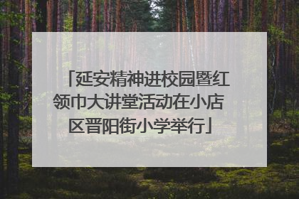延安精神进校园暨红领巾大讲堂活动在小店区晋阳街小学举行