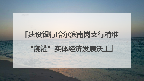 建设银行哈尔滨南岗支行精准“浇灌”实体经济发展沃土