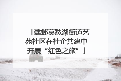 建邺莫愁湖街道艺苑社区在社企共建中开展“红色之旅”