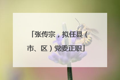 张传宗，拟任县（市、区）党委正职
