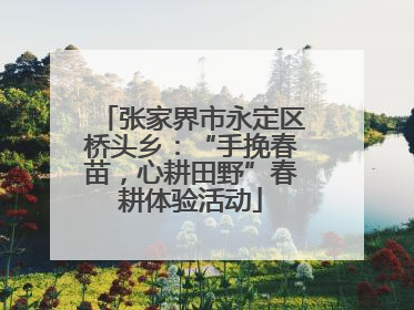 张家界市永定区桥头乡：“手挽春苗，心耕田野”春耕体验活动