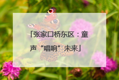 张家口桥东区：童声“唱响”未来