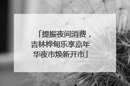提振夜间消费，吉林桦甸乐享嘉年华夜市焕新开市