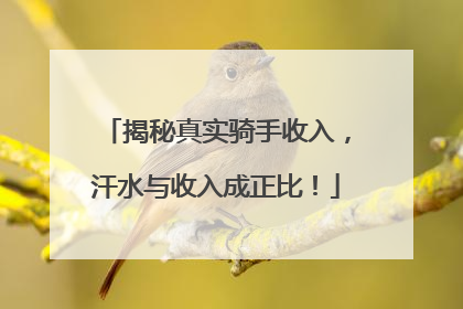 揭秘真实骑手收入，汗水与收入成正比！