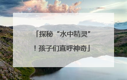 探秘“水中精灵”！孩子们直呼神奇