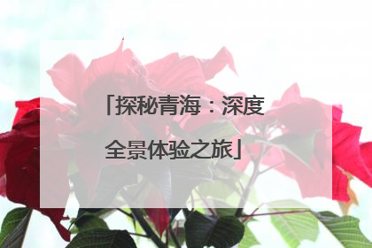 探秘青海：深度全景体验之旅