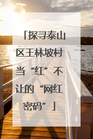 探寻泰山区王林坡村当“红”不让的“网红密码”