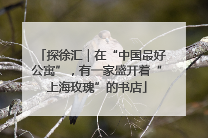 探徐汇｜在“中国最好公寓”，有一家盛开着“上海玫瑰”的书店
