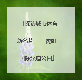 探访城市体育新名片——沈阳国际泵道公园