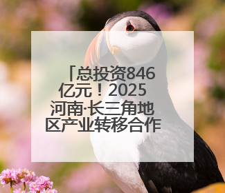 总投资846亿元！2025河南·长三角地区产业转移合作对接活动举行