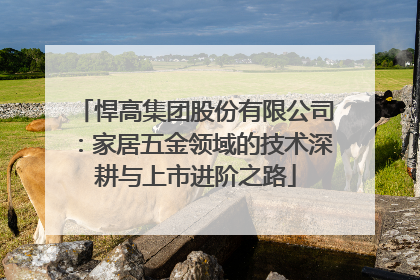 悍高集团股份有限公司：家居五金领域的技术深耕与上市进阶之路