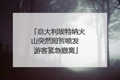 意大利埃特纳火山突然短暂喷发 游客紧急撤离