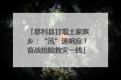 慈利县甘堰土家族乡：“汛”速响应！奋战抢险救灾一线