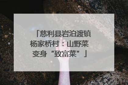 慈利县岩泊渡镇杨家桥村：山野菜变身“致富菜”