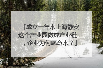 成立一年来上海静安这个产业园做成产业链，企业为何愿意来？