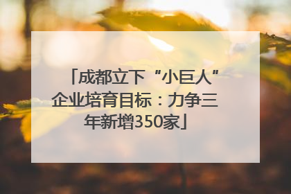 成都立下“小巨人”企业培育目标：力争三年新增350家