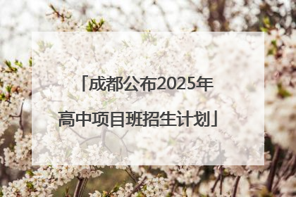成都公布2025年高中项目班招生计划
