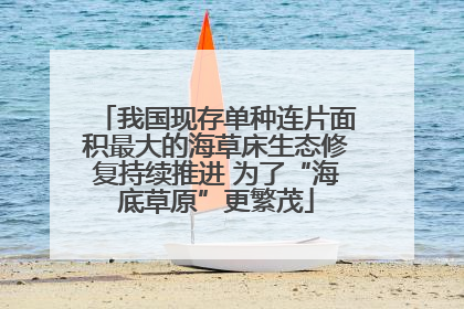 我国现存单种连片面积最大的海草床生态修复持续推进 为了“海底草原”更繁茂