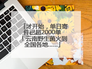 才开始，单日寄件已超2000单！云南野生菌火到全国各地……