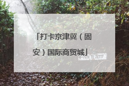 打卡京津冀（固安）国际商贸城