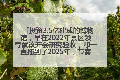 投资3.5亿建成的博物馆，早在2022年县区领导就该开会研究验收，却一直拖到了2025年，节奏不是一般的慢！