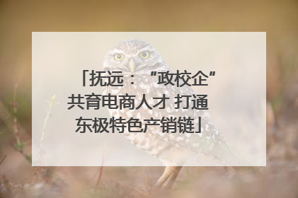 抚远：“政校企”共育电商人才 打通东极特色产销链