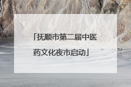 抚顺市第二届中医药文化夜市启动