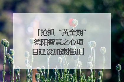 抢抓“黄金期” 德阳智慧之心项目建设加速推进