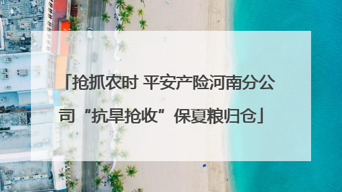 抢抓农时 平安产险河南分公司“抗旱抢收”保夏粮归仓